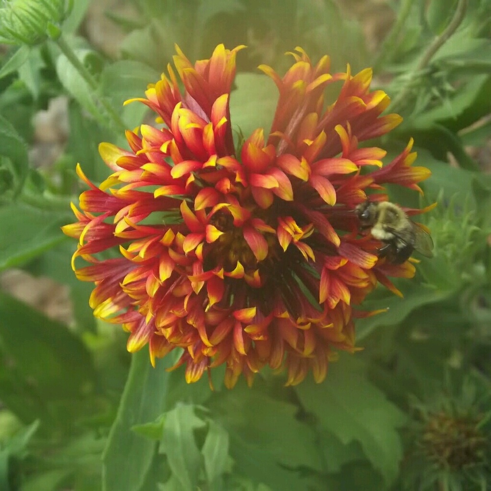 Meet your Posher, Erika